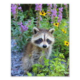 Foto Skelly impressão