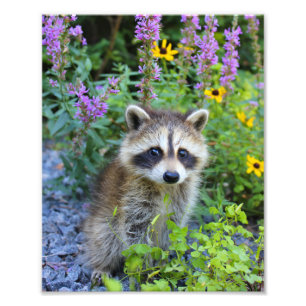 Foto Skelly impressão