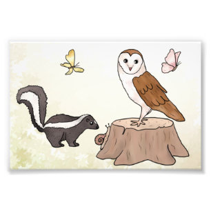 Foto Skunk und Eule Fotodruck