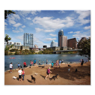 Foto Skyline de Austin Texas do parque do cão do lago