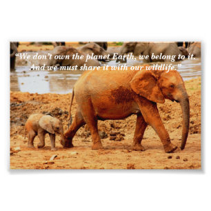 Foto Slogan Personalizado/Mãe e Vitã do Elefante de Con
