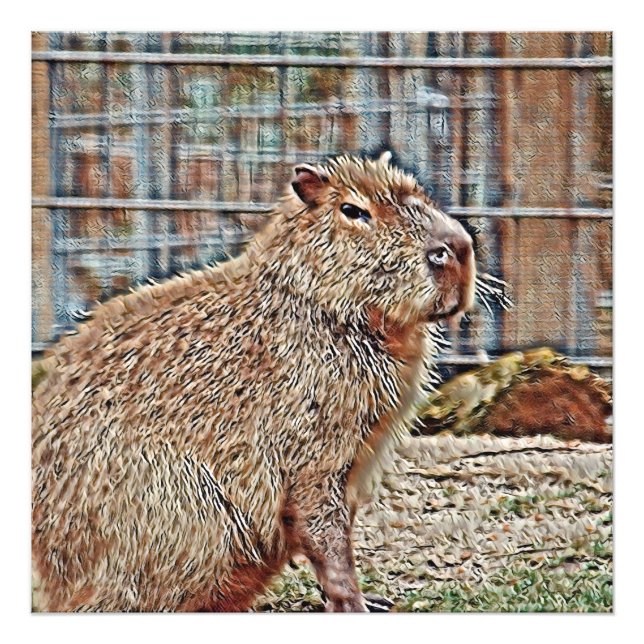 Foto SmartMix Animal - Capybara (Frente)