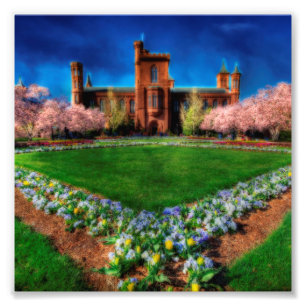 Foto Smithsonian Castle Cherry Blossoms