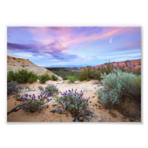 Foto Snow Canyon Sunrise Flores Selvagens Paisagem