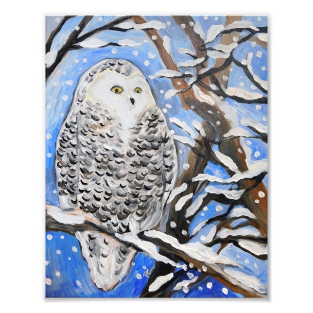 Foto Snow Owl (Frente)