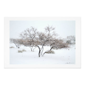 Foto Snow Tree by Sidharta Pascual