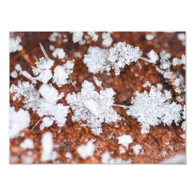 Foto Snowflakes  (Frente)