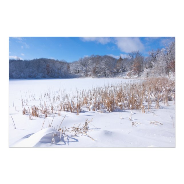 Foto Snowy Martaler Pond Winter Scense (Frente)