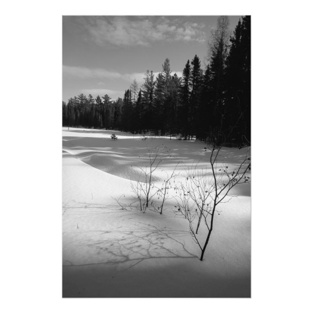 Foto Snowy North Forest (Frente)