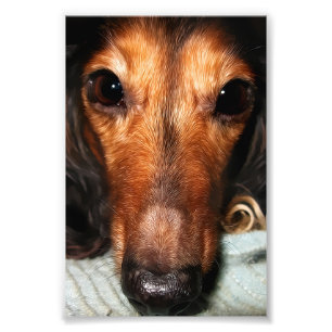 Foto Snuggle Bugs Mackenzie