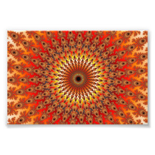 Foto Sobrevivência - Fractal