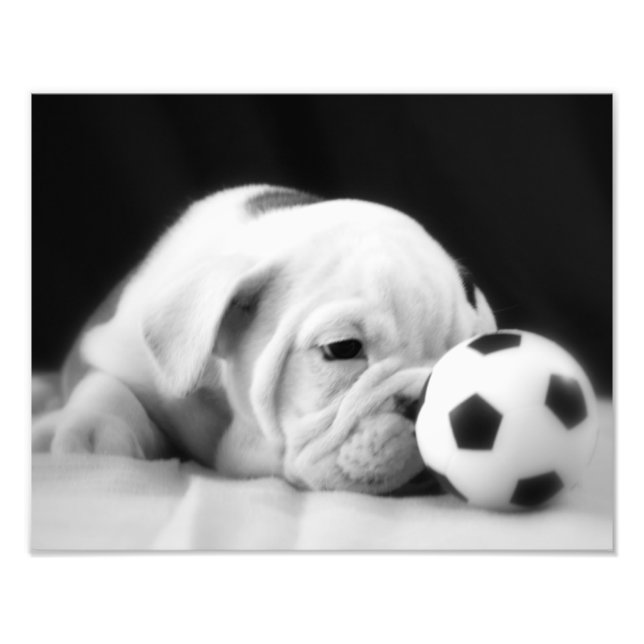 Foto "Soccer Ball Nose" (Frente)