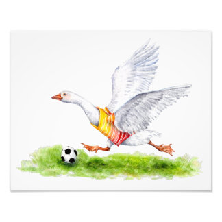 Foto Soccer Goose