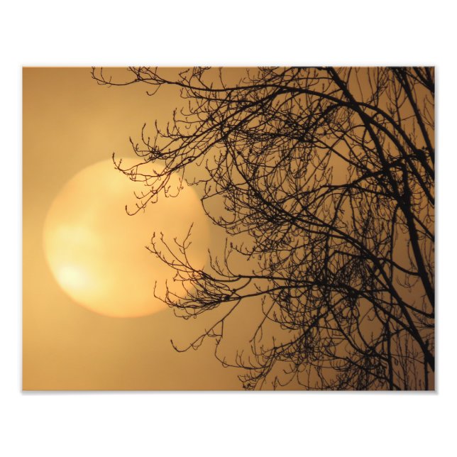 Foto Sol da Madrugada (Frente)