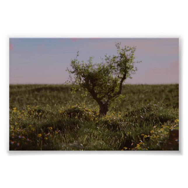 Foto Solitary Tree (Frente)