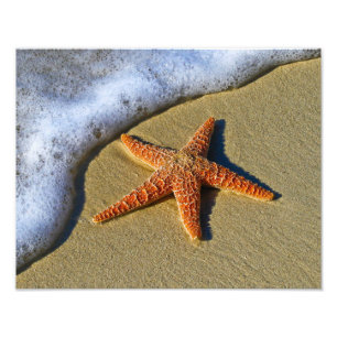 Foto Solteiro Starfish na praia