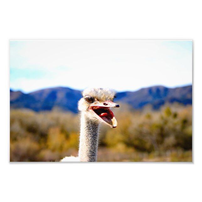 Foto Solvang, CA (Frente)