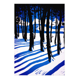 Foto Sombras da Floresta de Inverno – Natureza Minimali