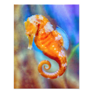 Foto Sonda Laranja com Cavalo