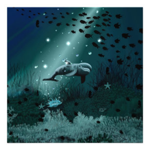 Foto Sonho de golfinho