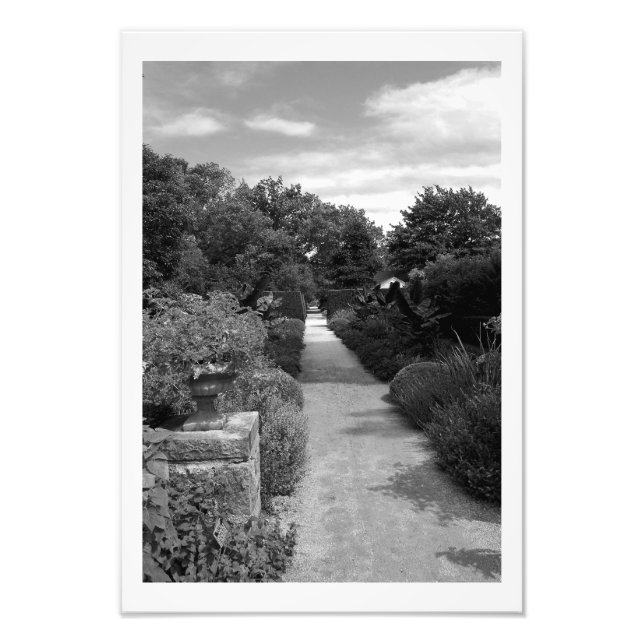 Foto Sonho de Jardim (Frente)