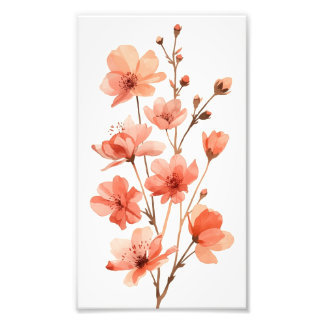 Foto Sonhos de Flor de Coral