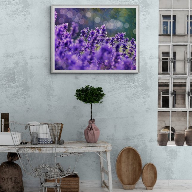 Foto Sonhos de Lavanda (Criador carregado)