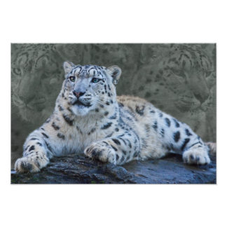 Foto Sonhos de Leopardo da Neve Impressão