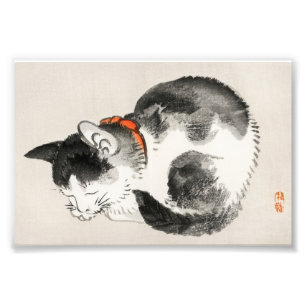 Foto Sono Sereno: Gato Adormecido por Kōno Bairei