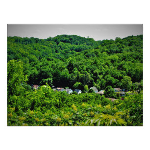 Foto "Sorins Roots"