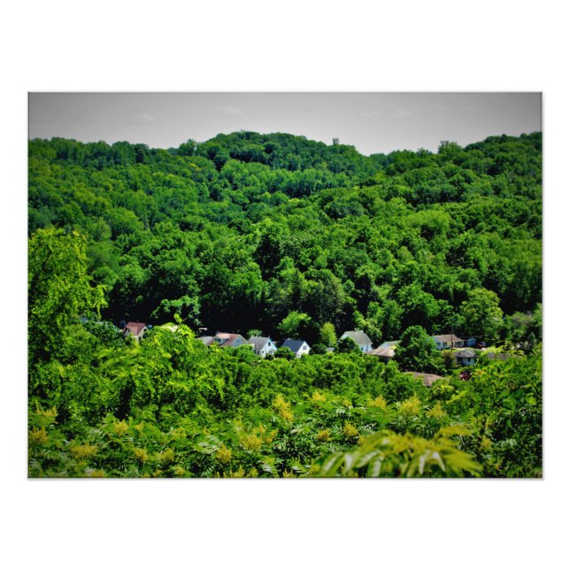 Foto "Sorins Roots" (Frente)