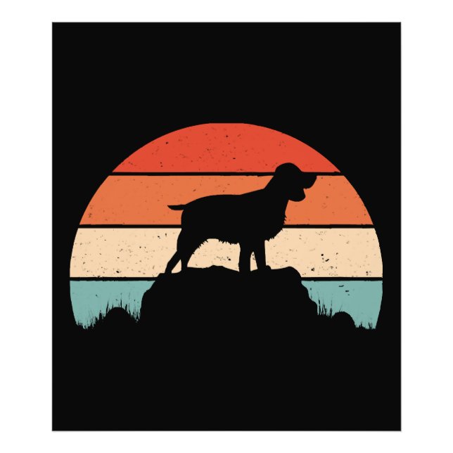 Foto Spaniel de springer em inglês (Frente)