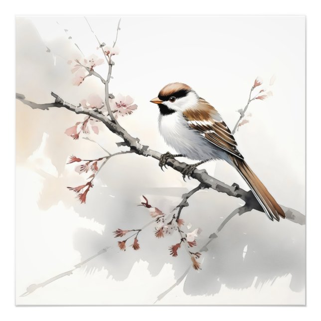 Foto Sparrow na ramificação Primavera (Frente)