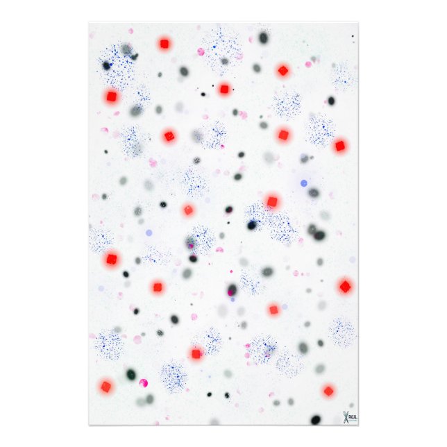 FOTO SPLOTCH (Frente)