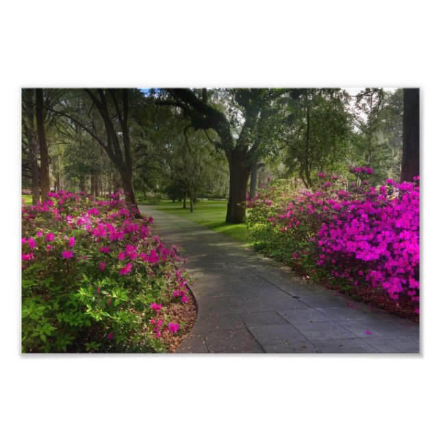 Foto Springtime Em Forsyth Park, Savannah (Frente)