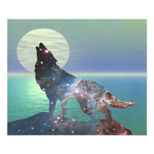 Foto Star Wolf