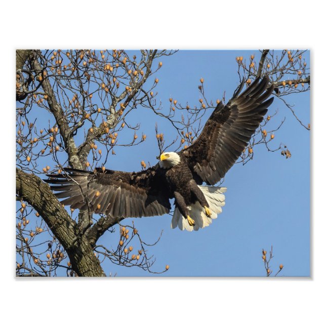 Foto Sua grande entrada (Frente)