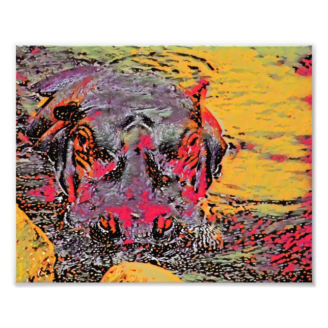 Foto Sugar Skull Hipo (Frente)