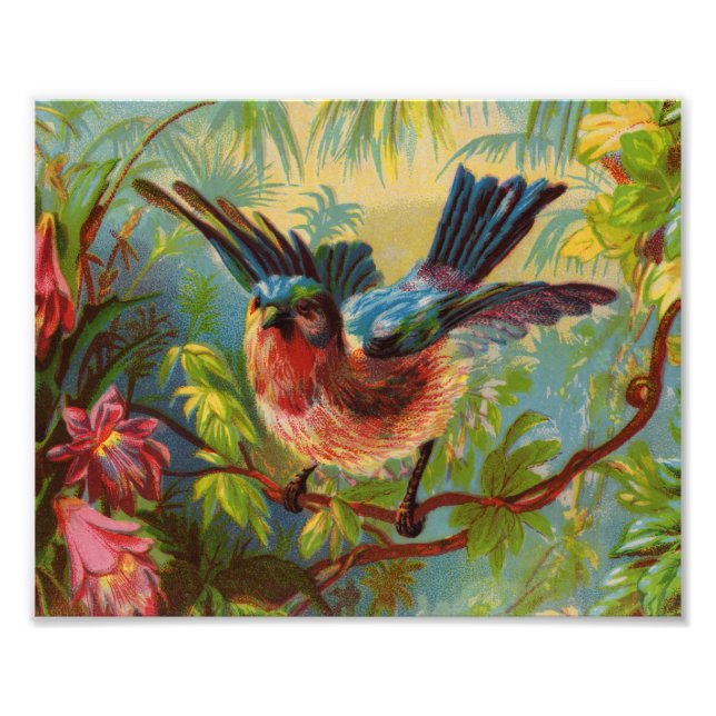 Foto Summer Bluebird Photo Impressão (Frente)