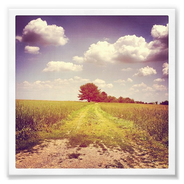 Foto Summer Off Road (Frente)