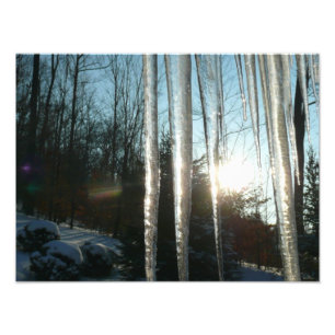 Foto Sunrise Através De Ícicletas Winter Nature Fotog