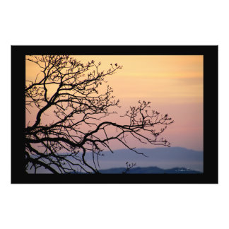 Foto Sunset Branches Silhouette by Sidharta Pascual