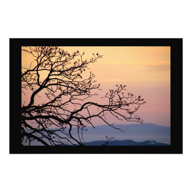 Foto Sunset Branches Silhouette by Sidharta Pascual (Frente)
