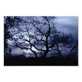 Foto Sunset de meia-noite