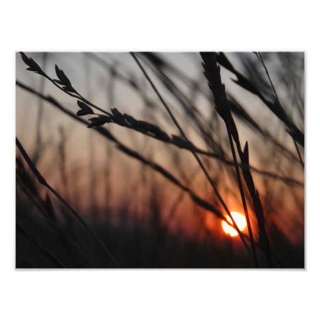 Foto Sunset Kodak Professional Foto (Frente)