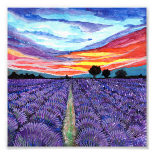 Foto Sunset no campo de Lavanda