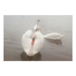 Foto Suportes De Arte Para Aquarelas Modernas Elegantes