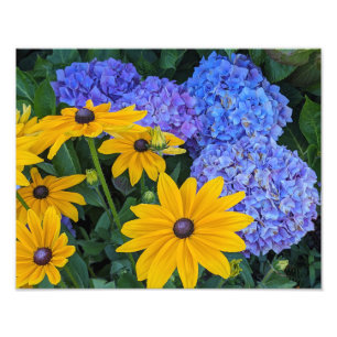 Foto Susanne de Olhos Pretos e Hortênsia Azul Floral