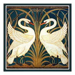 Foto Swan e Rush e Iris