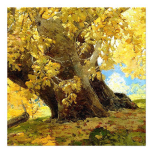 Foto Sycamore no outono por Edgar Payne